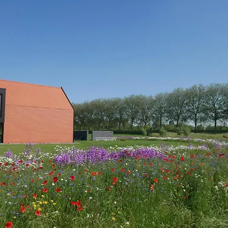 Vakantiewoning Trimaarzate Villa *